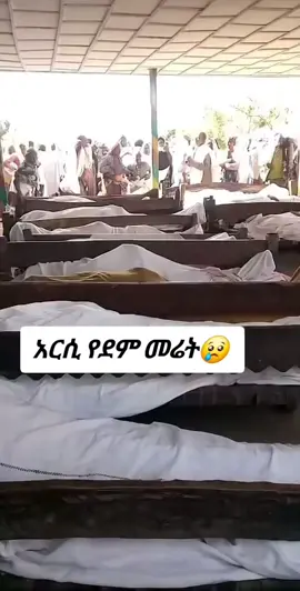 #foryoupage #シ゚viralfypシ゚viral #foryoupageofficiall❤️❤️tiktok #ፍትህለአርሲኦርቶዶክሶች😭🙌 #ኦርቶዶክስ_ተዋህዶ_ፀንታ_ለዘለዓለም_ትኑር 