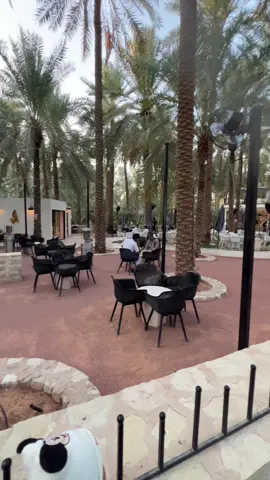 حديقة جادة النخيل #حديقة #fyp #اكسبلور 