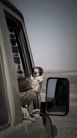 ‏ ‏ #ياالله_لاذليتني_عند_مخلوق ‏   ‏⠀ٓ‏⧼  📻 ⧽ ‏         ولا شهادتي  كيف مخترتها لي  ‏⠀ٓ‏ ‏♪ #أكسبلور #explore , ‏ ‏ ‏  ممممممَن الـ #اكسبلور_explore فـولوُ ؟ ‏ ‏ ‏  ‌‌‏ ‏ ‏ ‏ ‏ ‏ ‏ ,#explore explore   ‏   ‏  