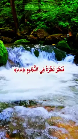 #CapCut #القران_الكريم_راحه_نفسية😍🕋 #صلي_علي_النبي_محمد_صلي_الله_عليه_وسلم #القارئ_محمد_الفقيه #القران_الكريم  سورة الصافات 