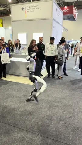 RobOKI