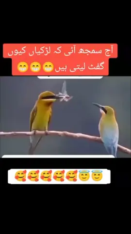 #videoviralforyou #wwwwwwwwwwwwwwwwwwwwwwwwwwwwwwwwwww #جہلم_ساڈا_شھر_اے 