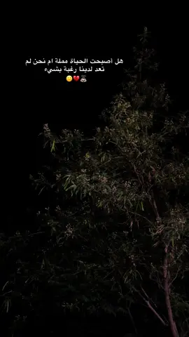 هل الحياة مملة ام نحن لا تعد لدينا رغبة #❤️🥺 #ستورياتي_حلالكم 