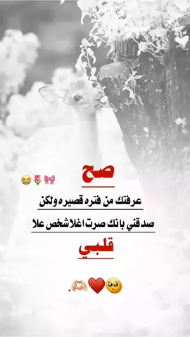 #عبارات_حب🥺❤ #fypシ #صعدوه_اكسبلوور🔹 