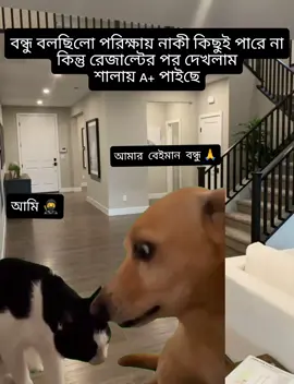 তরে আজকা কে বাচাঁবো বন্ধু  #jawra_81 #foryou#idfreezed#fppppppppppppppppppp#tiktok 