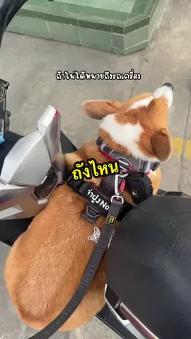 ฝนพูดจาไม่รู้เรื่องเลยนะต๊ะ