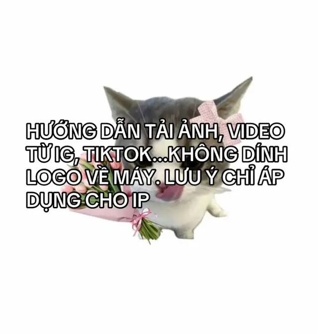 Hướng dẫn tải ảnh, video về máy không dính logo #snaptik #xuhuongtiktok 