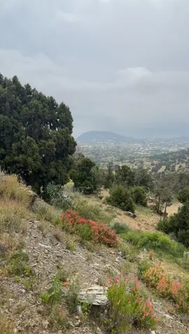 انها السوده ي ساده 😩❤️🌧️🌿#اكسبلور #ابها #السوده_ابها #السوده 