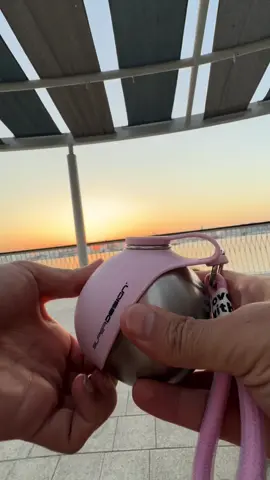 Paw 🐾 sip