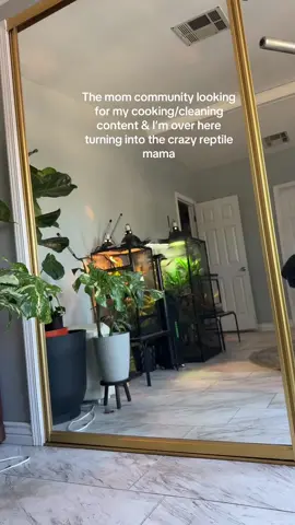 I spend all day around my 23 reptiles, I don’t know how to not include them anymore 😭😂💕🐸🦎🐍 #momcreator #reptilemom #funny #momcommunity #reptilekeeper 