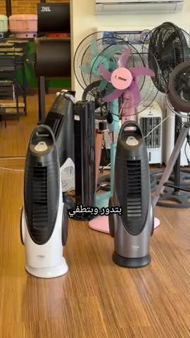 Beat the heat with the right fan 🌬️