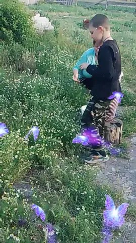 #збір ромашки #