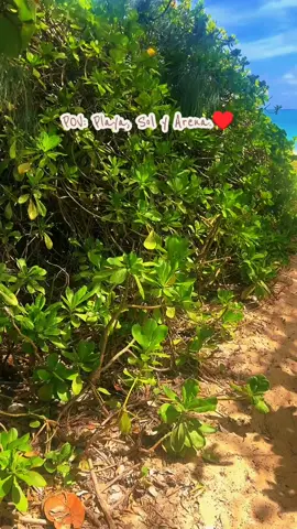 lanikai Beach. LAS MEJORES VACACIONES DE MI VIDA. #tiktokgorisingstarsl2 #vacaciones2026 #family #viajes2026 #vacations 