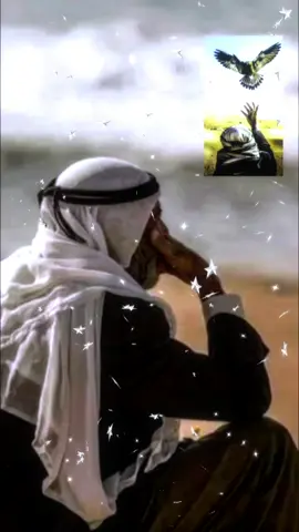الشيب اخ من الشيب#موسى #المردود #youtube #الترند_الجديد 