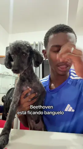 Hoje ele é um cachorro convertido 🤣 #humor #cachorro #l