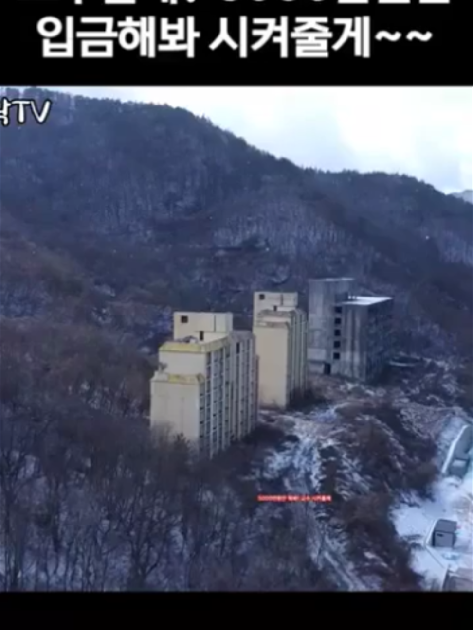 교수 자리 팔아먹다가 시작도 못하고 폭망한 유령대학 건물