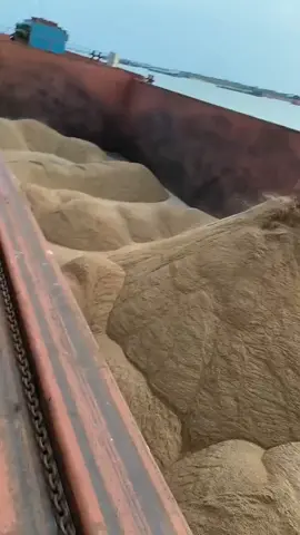 A Chinese general cargo vessel is loading sand at present and is scheduled to depart Tianjin Port tomorrow, with an estimated arrival at Ho Chi Minh Port in two weeks. Are you ready to receive the cargo? Feel free to contact me should you require any freight forwarding brokerage services.