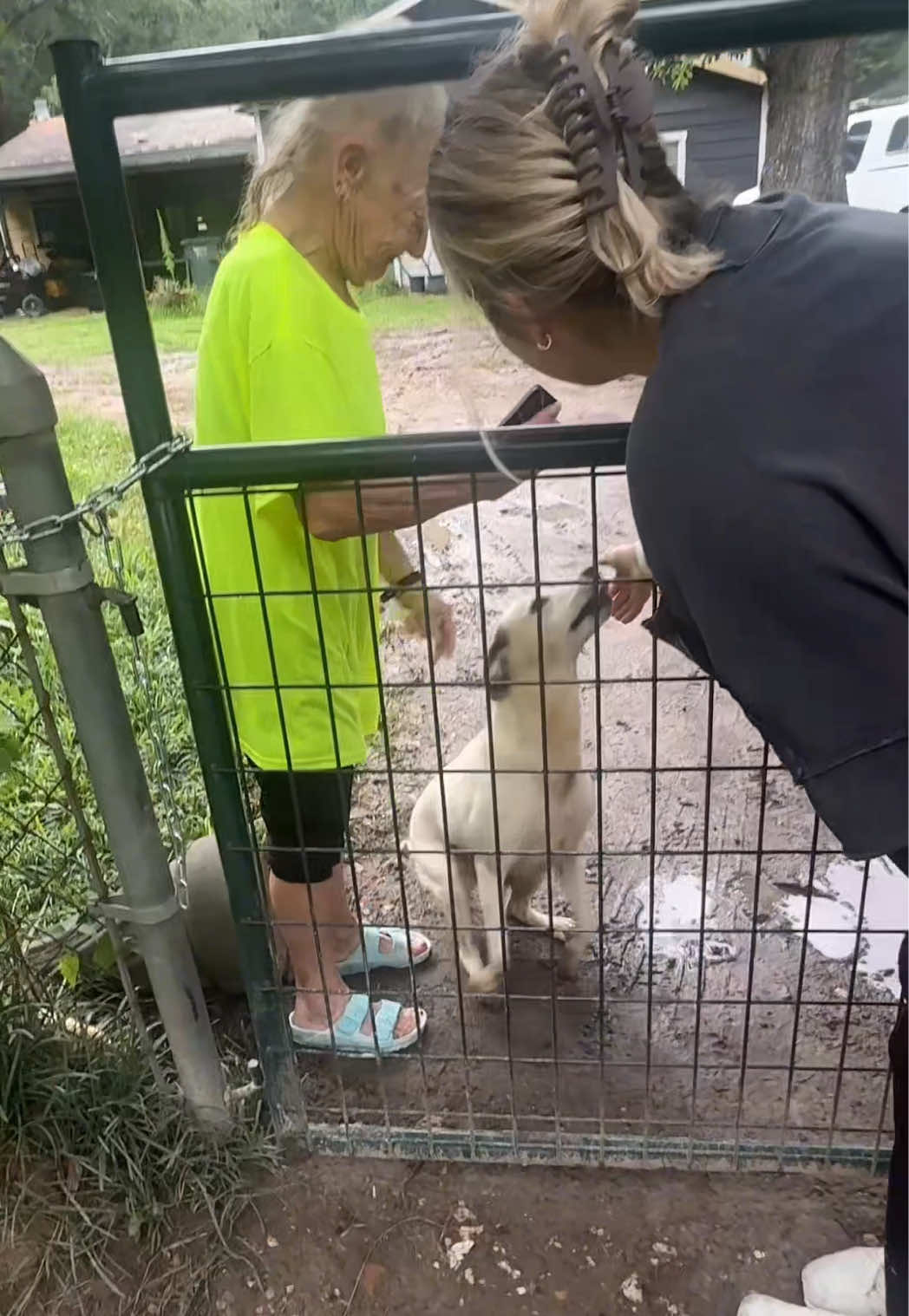 I felt so bad I was like omg I wanna see them and they let them out for a few minutes then put them back in for the rest of the day :/ #dogrescue #rescuedogsoftiktok #rescuedog #adoptdontshop #adopt 