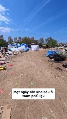 Tập 137: Một ngày săn kho báu ở trạm phế liệu #xh #fyp 