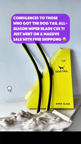 Why do many drivers forgot to change their wipers until it’s too late😿#dogtail #wiperblades #dealsforyoudays #tiktokshopdealsforyoudays #summerwins 