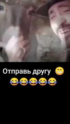 Скинь  кенту #кент