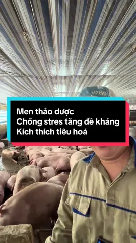 Vui vẻ chia sẻ suôn sẻ heo khoẻ#trending #thuocthuy #TikTokShopFUNFEST #ngoccua1989 #navetco 