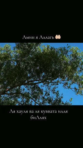 Амин Амин 🤲🏻#Амин #дуа #джумамубарак #религия #ислам 