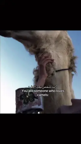 #الابل #tiktok #اكسبلور #fyppppppppppppppppppppppp 