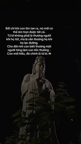 Bởi chỉ khi con tim tan ra, nó mới có thể ôm trọn được tất cả. Từ bi không phải là thương người khi họ tốt, mà là vẫn thương họ khi họ lạc đường.  Cho đến khi con biết thương một người từng làm con tổn thương - Con mới hiểu, đó chính là từ bi.🪷#phatphapnhiemmau #nammoadidaphat #tututap #xuhuongtiktok 