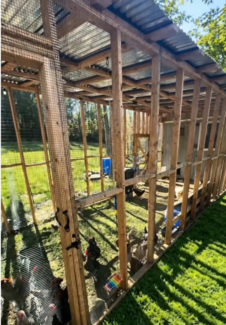 #VEVOR #summerwins #hardwarecloth #meshroll #yardwork  