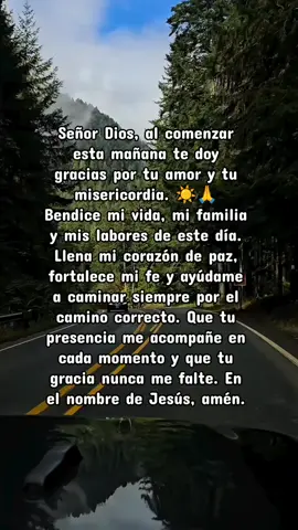 Señor Dios, al comenzar esta mañana te doy gracias por tu amor y tu misericordia. ☀️🙏 Bendice mi vida, mi familia y mis labores de este día. Llena mi corazón de paz, fortalece mi fe y ayúdame a caminar siempre por el camino correcto. Que tu presencia me acompañe en cada momento y que tu gracia nunca me falte. En el nombre de Jesús, amén.  #oraciondelamañana #buenosdiasmundo #rudyfloresm #oracionespoderosas #parati 