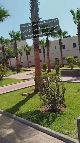 #الشعب_الصيني_ماله_حل😂 #creatorsearchinsights #LIVEIncentiveProgram #LIVECanBeEasy #dakhla 