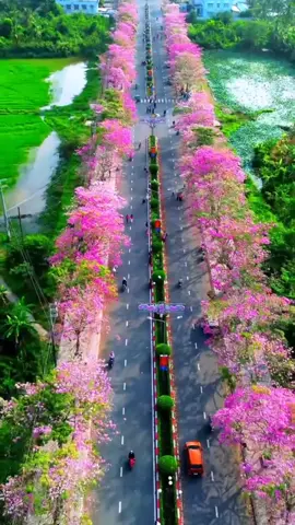 Ngợi Ca Quê Hương Em                                                #nhachaymoingay #Mylove 💜💜#hashtag #foryou #capcut 