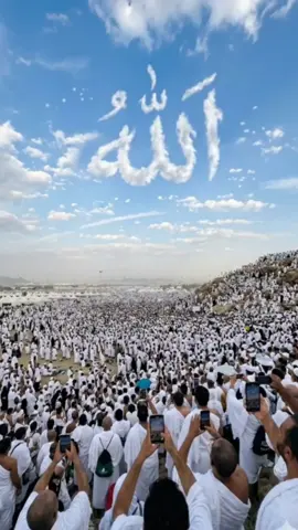 haij session 2026 today view subhanlallah🤲🕊💫#Allah #Viral #Islamic #ForYou #FYP 