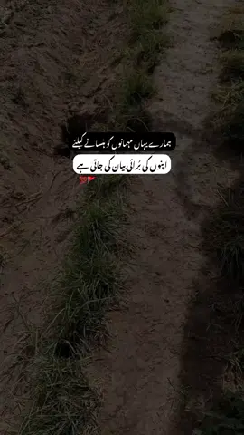 #foryoupage #viralvideo #attitude #1millionaudition #whos_taha4 @TikTok 