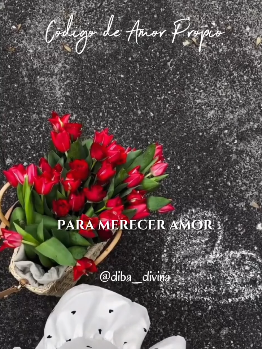 El amor propio no comienza cuando te conviertes en alguien diferente. Comienza cuando decides tratarte con más respeto, paciencia y compasión. 🌷 Este es uno de los mensajes que forman parte de mi libro: 📖 21 Códigos de Activación Interior Guarda este código para volver a escucharlo cuando necesites recordarte tu valor. Y comenta: ✨ ME ELIJO si hoy decides acompañarte con amor. #dibadivina #campomagneticocreativo #21CodigosDeActivacionInterior #parati #fyp 