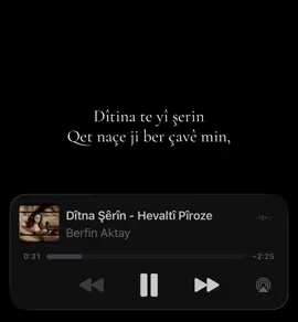 ❣️#foryou #keşfet #kurdishsong #berfinaktay #fyp 