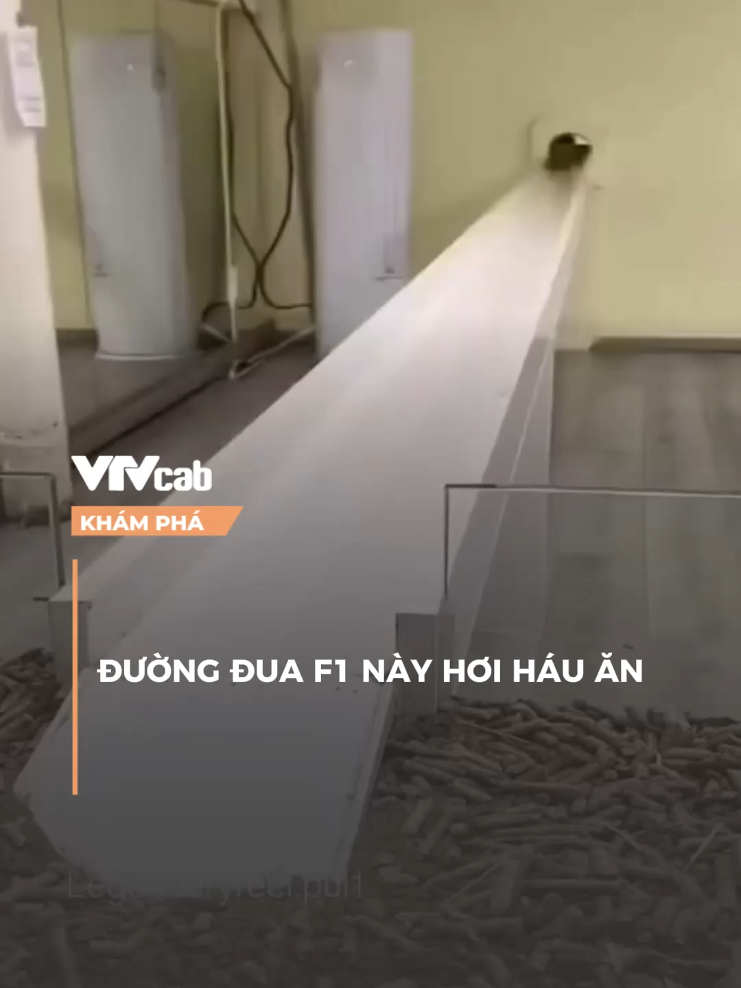 đường đua f1 hamster#khampha #vtvcab #onlive #dhp