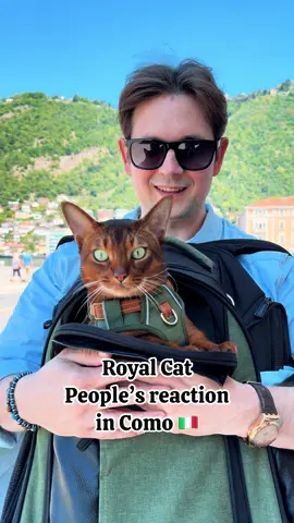 Tutti mi chiedono che razza è il Gatto Reale❤️ La risposta è nel video 😻