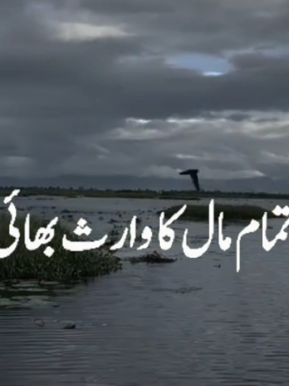#Allah #alquran #foryou #Quran #qurantranslationurdu 
