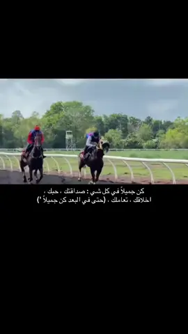 #عبارات_جميلة 