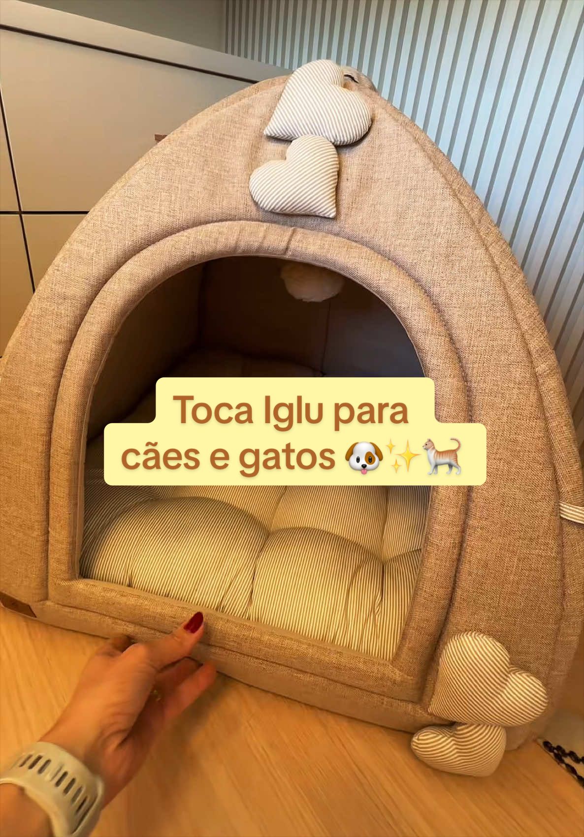 O verdadeiro significado de mimo de luxo para quem a gente mais ama🥰 Certeza que se a Mel pudesse falar, ele diria obrigada🐶🤍 Essa toca Iglu para cães e gatos já é perfeita em tons pastéis e corações, mas o acabamento e o conforto de perto são surreais.  Deixei o link da loja aqui no tiktok shop pra você mimar por aí também 🧡🫶🏻 #tocaiglu #caminhapet #petlovers #tiktokshopbr #maedepet 