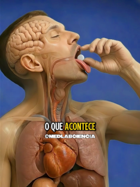 O que acontece no seu corpo se você tomar prednisona? #corticoides #brasil #saude #anatomia