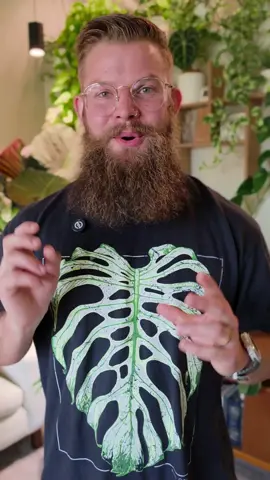 everything I know about growing house plants so you can learn from my  mistakes and we can grow better together. I hope this series will help bring more people into this awesome community so share this with someone you want to get hooked on plants.  #plantcaretips #houseplants #MentalHealth #plants #plantcommunity 