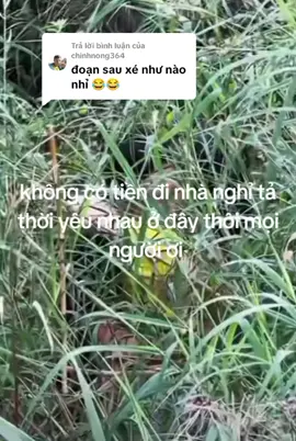 Trả lời @chinhnong364 