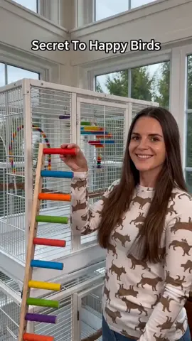Tiger-Skin Peony Parrot Toy Sandblasted Items, Interactive Climbing Rope Swing, Wooden Ladder for Claws and Beaks, Bird Perches for Cage #petsupplies #pounceandplaycattoys #petowners #petgroomingmusthaves #playpenfordogs #puppyplaypen #woodenplaypen #birdtoys #birdcageaccessories #lalalarkfeedingset