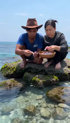 🧜‍♀️ Feeding the Mermaid's Feast #MermaidFeeding #OceanMystery #UnderwaterMagic #SeaCreature