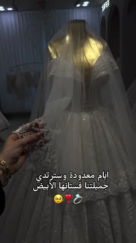 منشني عروستكم🙈🥹🦋🤍🤍🤍🤍#قلقيلية_طوباس_طولكرم_فلسطين_عرب48 #fybbbbbbbbbbbbbb #اكسبلور_تيك_توك #الناصرة_سخنين_عكا_حيفا_يافا #اكسبلورexplore 