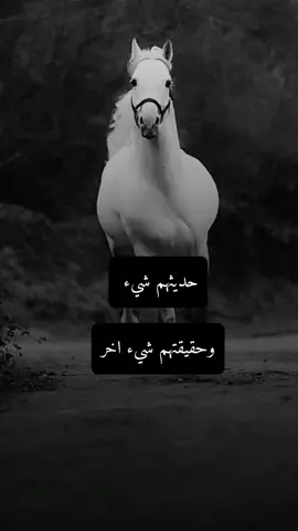 #اكسبلور #عبارات #خيول_عربية_اصيلة #اقتباسات #تصميمي 