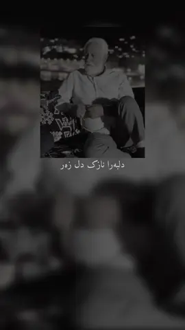 Dilbara nazik dl zar❤️‍🔥” #brader #stranenkurdi #acctive_bn #viralvideo #fyp 